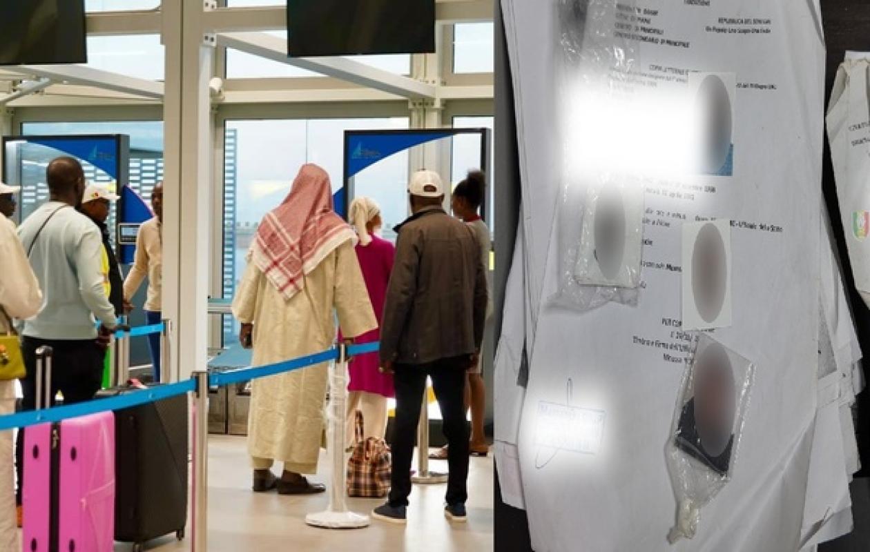 Vol de bœufs hollandais : Feugueuleu arrêté à l’AIBD, l’imprudence qui coûte cher au lutteur