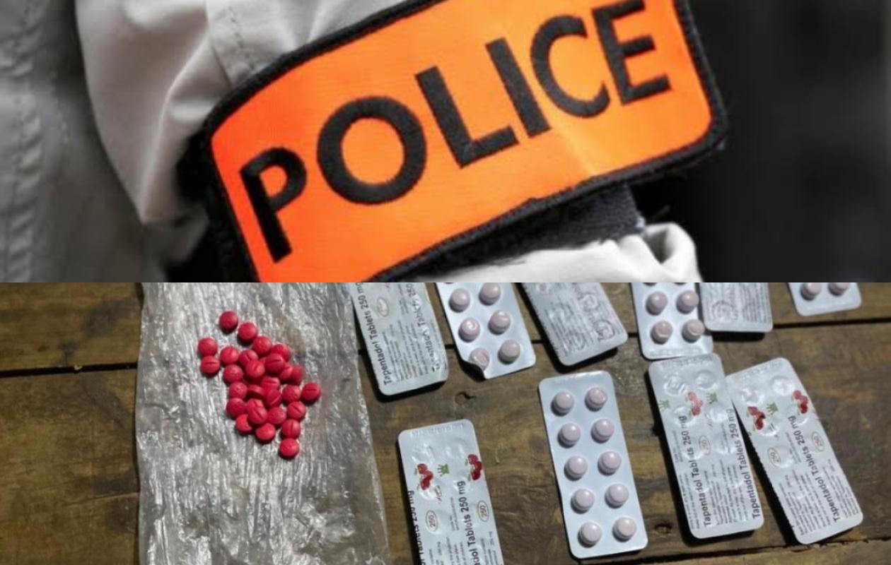 Trafic de drogue à Kédougou : Une Malienne et un Guinéen arrêtés avec tramadol et détecteur de métaux