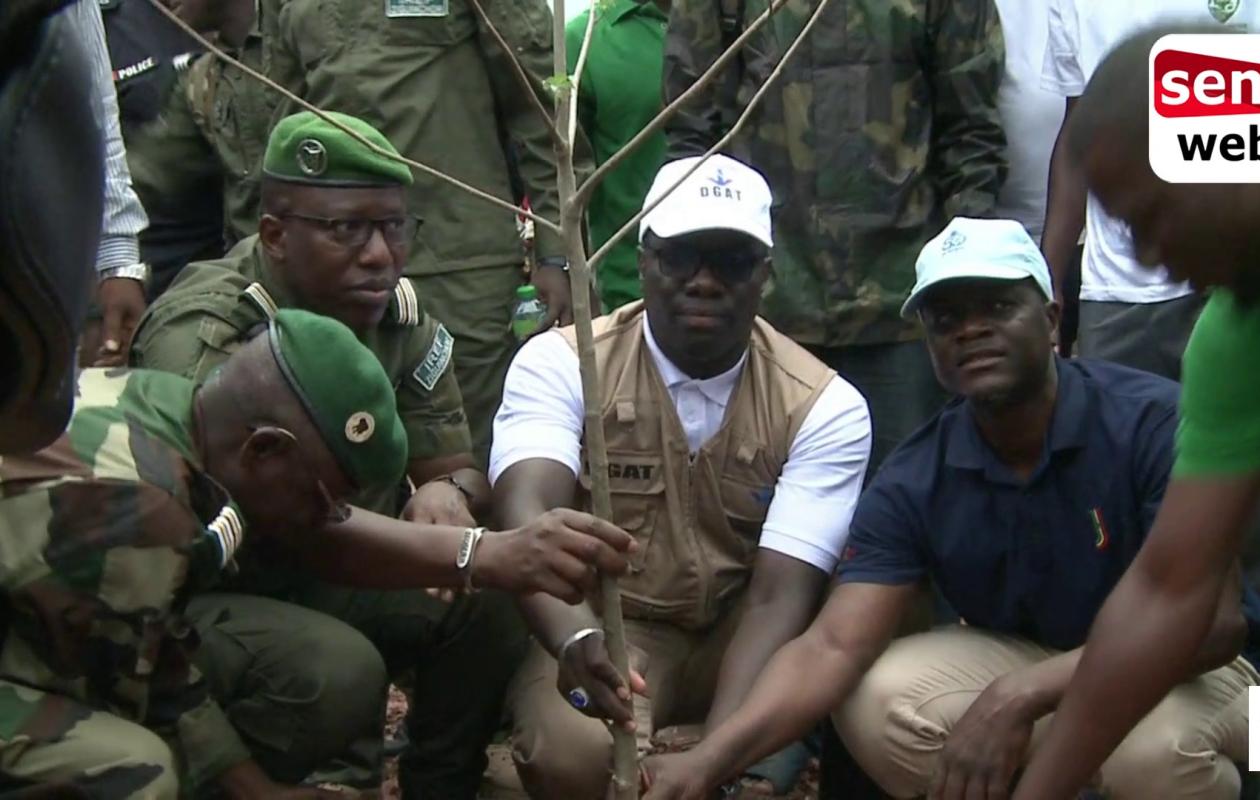 Ziguinchor : Un reboisement de 6 093 plants pour contrer la menace croissante et l’exploitation abusive du massif forestier