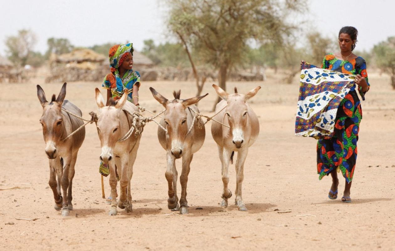 [Reportage] Le combat d’Awa Sow et les éleveuses du Ferlo pour leur survie