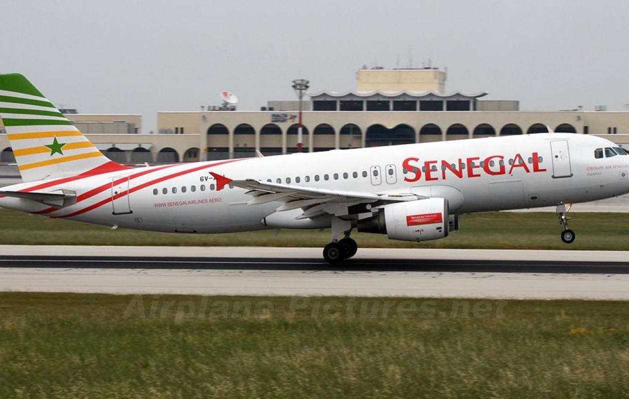 Collision aviaire pour un avion d'Air Sénégal : l’appareil immobilisé, des vols reprogrammés