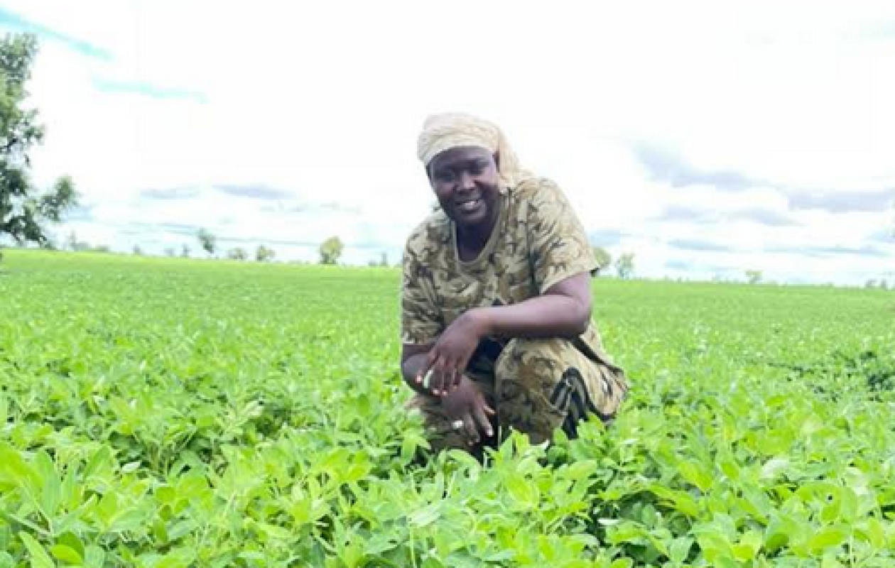 Agriculture : Amy Ndiaye Gniby reçoit les félicitations de Mabouba Diagne
