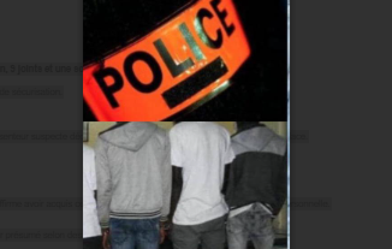 Fatick : 3 trafiquants de chanvre indien interpellés, un réseau démantelé par la police