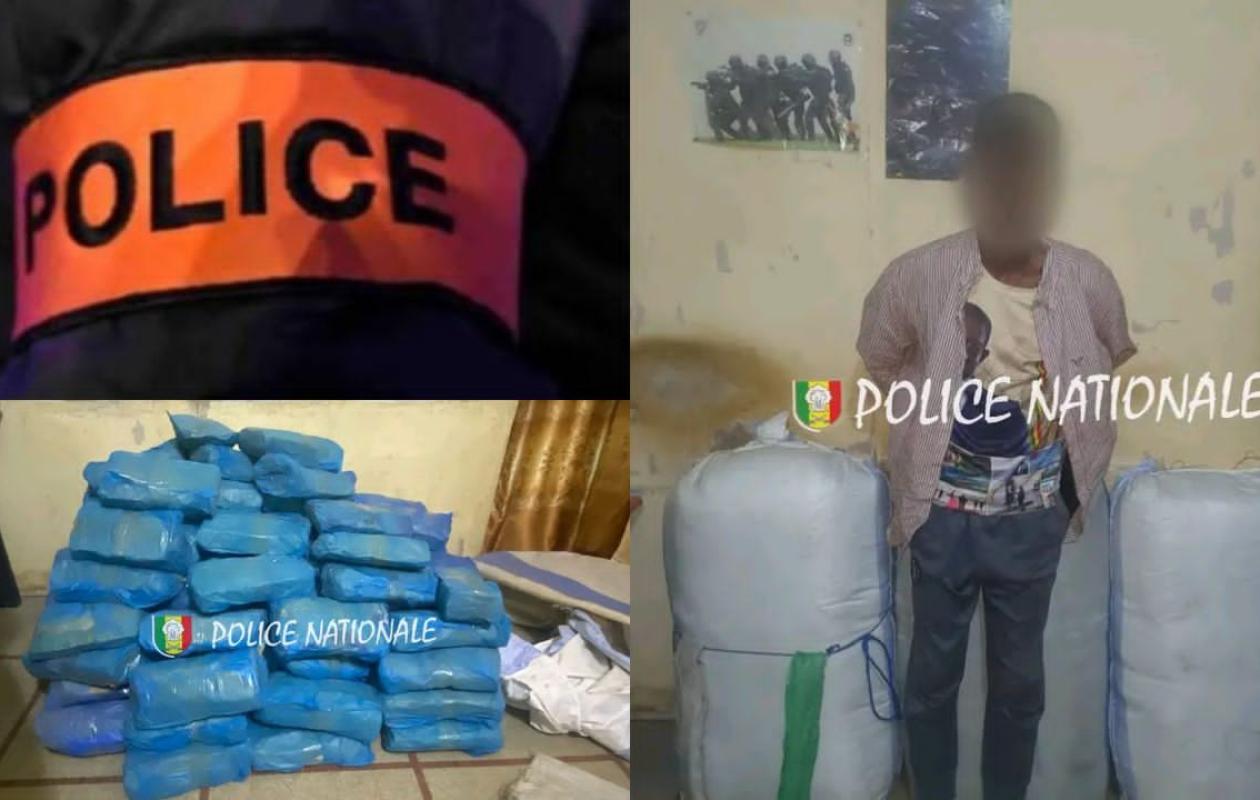Rufisque : Plus de 4 kg de chanvre indien saisis, un livreur arrêté par la police