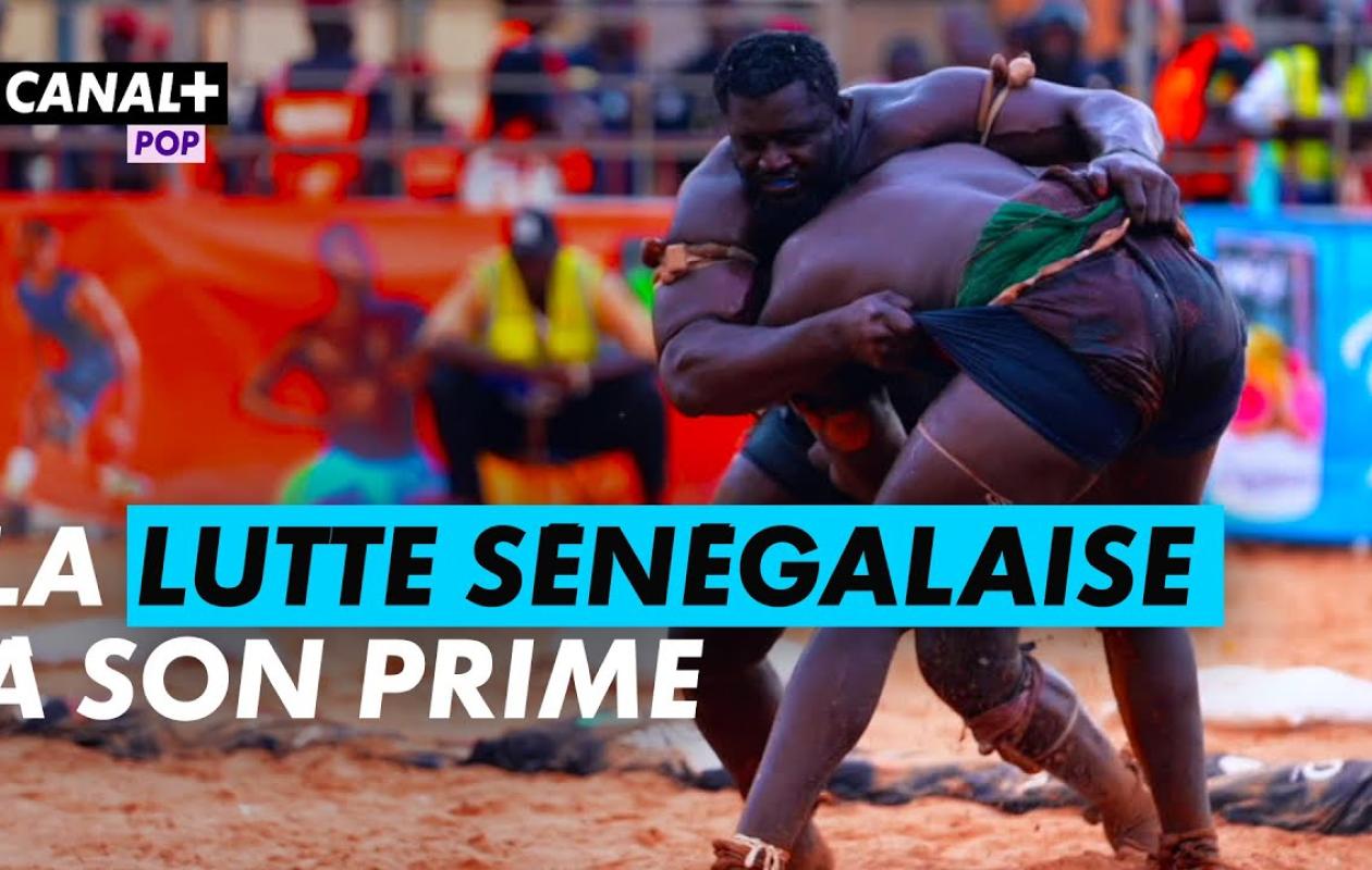 ENQUÊTE : Le renouveau de la lutte sénégalaise (vidéo)
