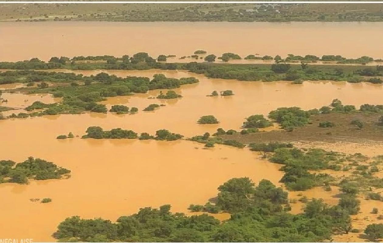 Situation hydrologique du fleuve Gambie : des hausses notables à certains points de mesure