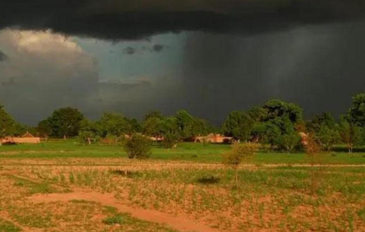 Kédougou - Campagne agricole 2025-2026 : Inondations, excès de pluies et attaques de chenilles