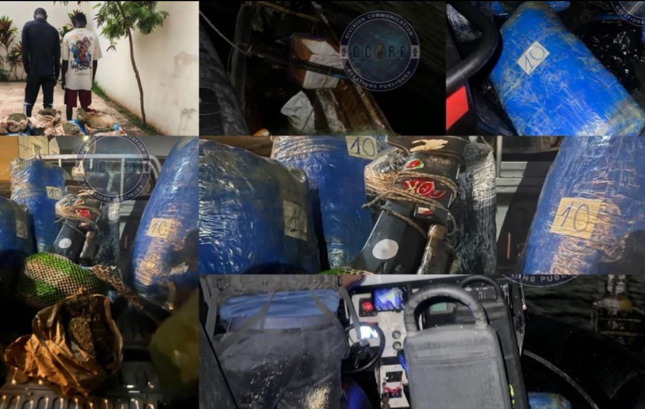 Thiaroye-sur-Mer : Coup de filet spectaculaire avec l'arrestation de 2 dealers avec 243 kg de "yamba" (Gendarmerie)
