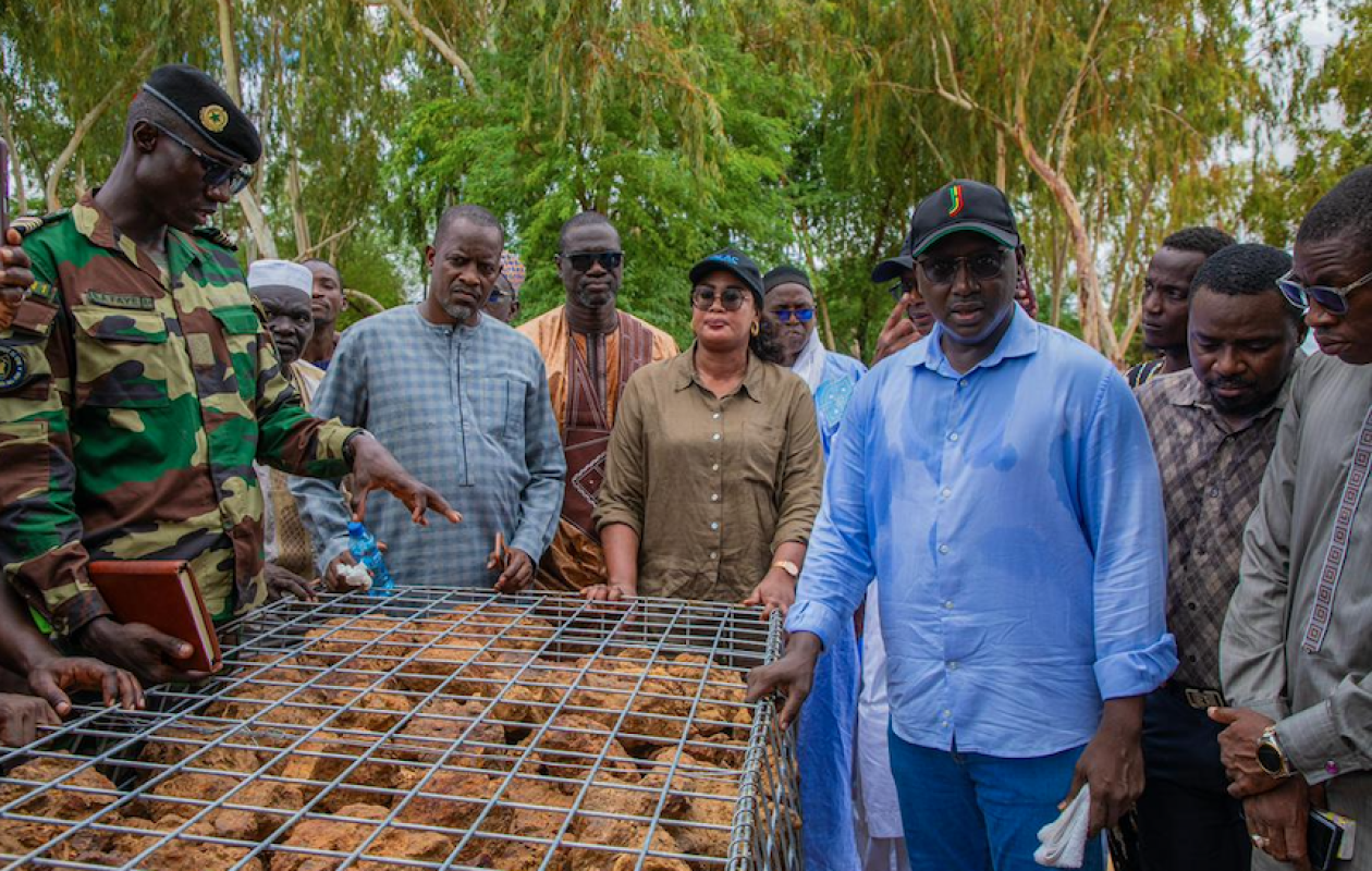 Inondations et crue du fleuve dans le Fouta : Cheikh Tidiane Dièye rassure