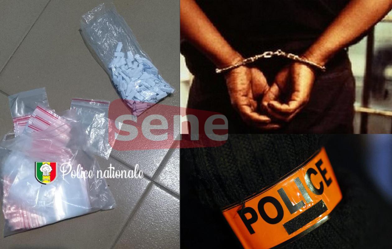 Mbour : le cerveau d’un vaste réseau de drogue dure arrêté avec 430 képas de Kush