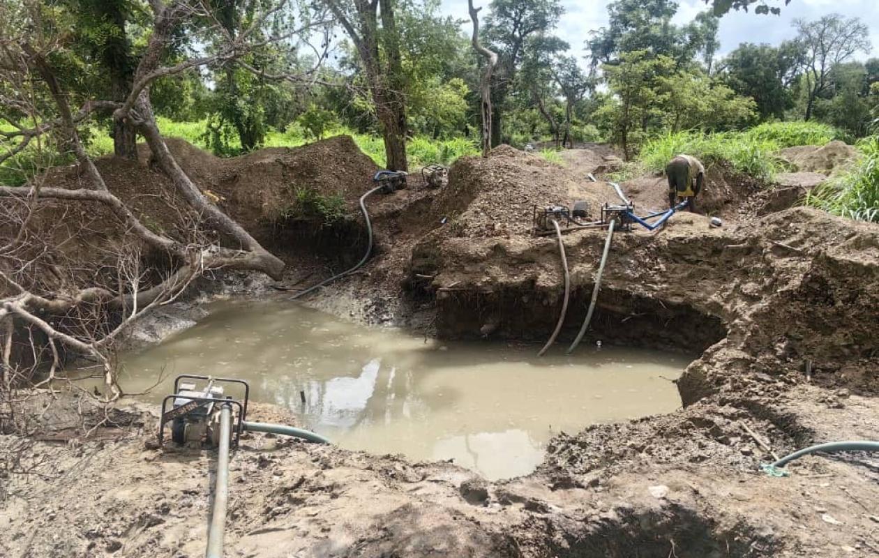 Tenkhoto face à l’orpaillage clandestin : la forêt et les terres agricoles en danger