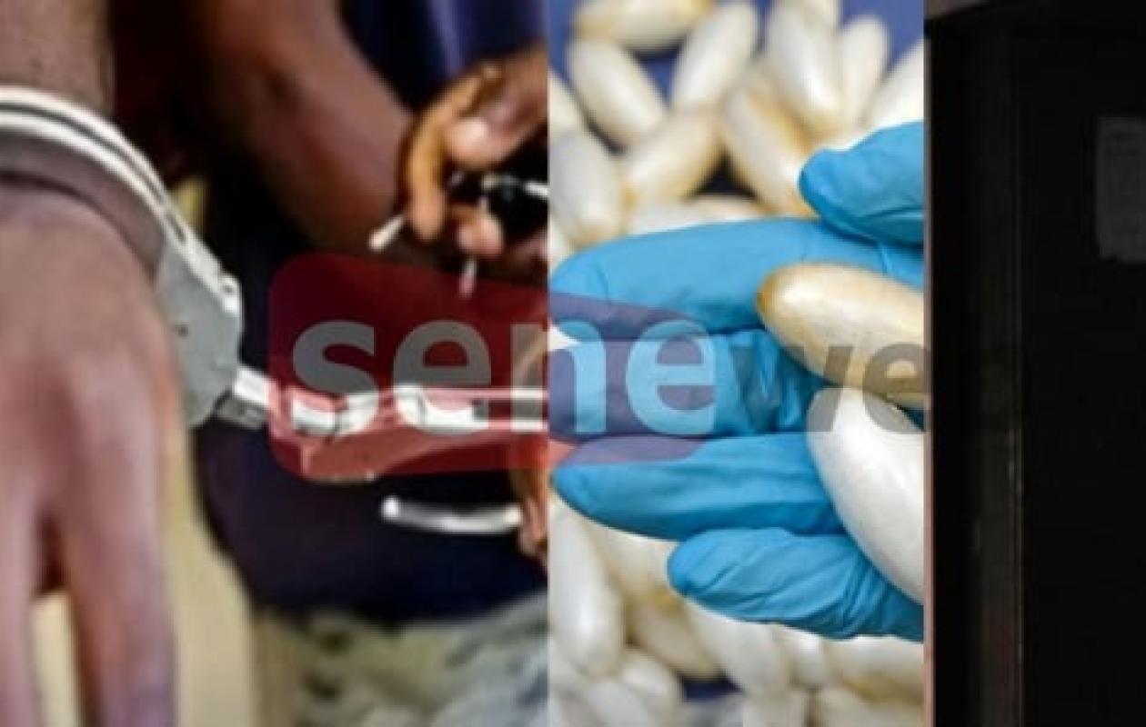 Chute du «baron de Thiadiaye» : le trafic de drogue nourrit le dealer, ses trois épouses et ses… 31 enfants