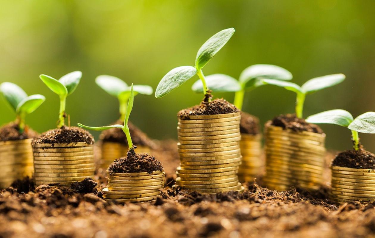 Microfinance en Afrique de l’Ouest sous tension malgré l’expansion des clients