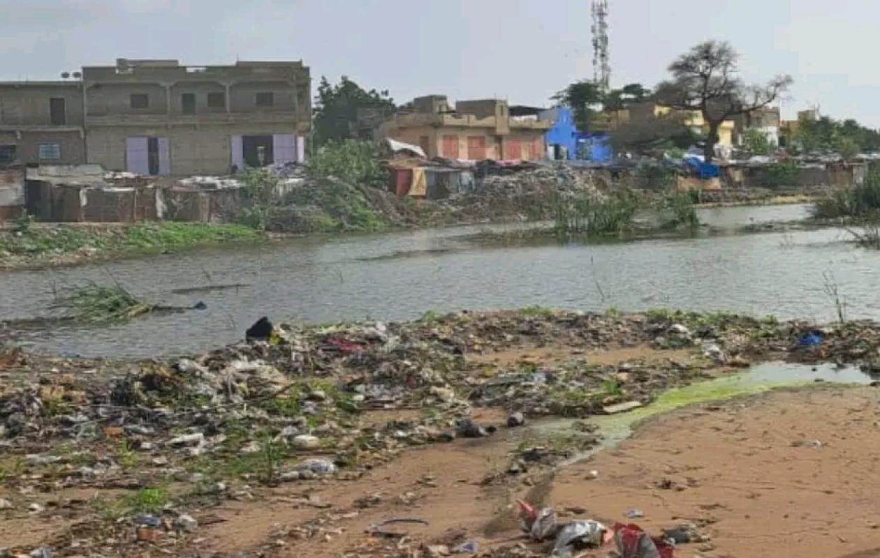 Drame à Diourbel : Un vendeur de pharmacie retrouvé noyé dans un bassin d'eaux pluviales