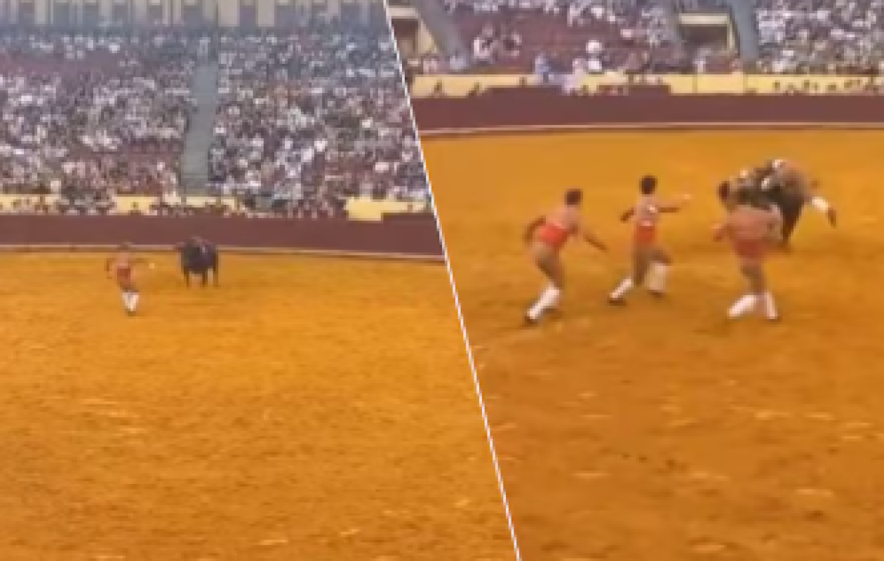 Un jeune torero perd la vie lors de sa première corrida dans les arènes de Lisbonne