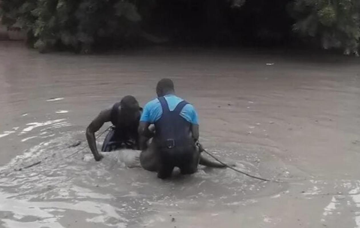Ziguinchor :  Un enfant de 8 ans s'est noyé à Enampore