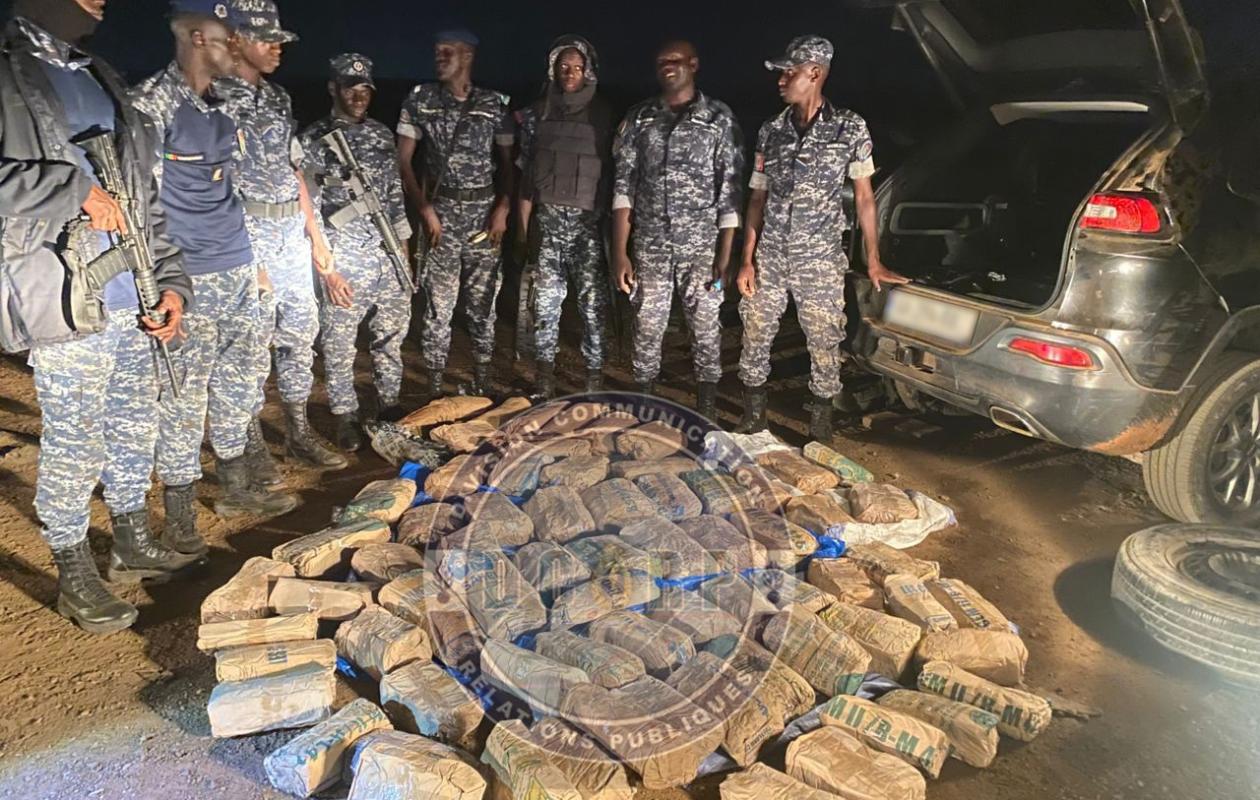 Kafountine : Saisie de 153 kg de chanvre indien par la gendarmerie, le trafiquant s’échappe