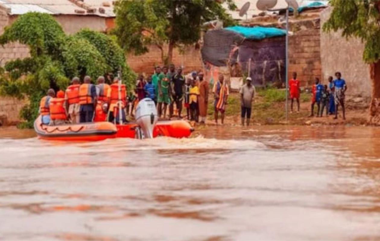 Campagne agricole 2025-2026 : pluies excédentaires, inondations localisées et vigilance face aux ravageurs à Kédougou