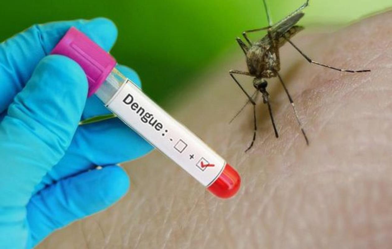 Kaolack : Deux cas de dengue détectés à Kasnack, le service d’hygiène en alerte