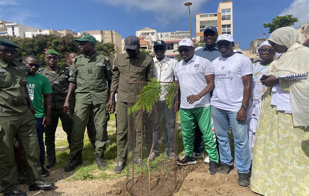 JOJ Dakar 2026 : Le comité d’organisation veut planter 100 000 arbres pour des Jeux verts