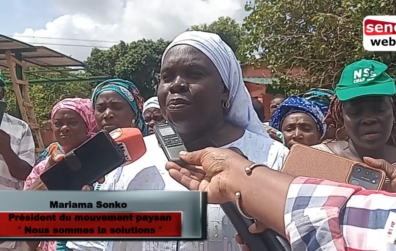 Ziguinchor : Des organisations paysannes de femmes alertent sur l’impact négatif de l’agro-industrie sur l’atteinte de la souveraineté
