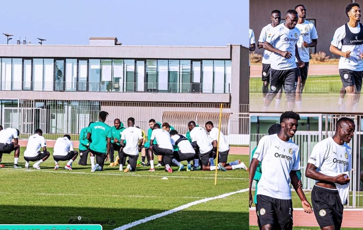 Mondial 2026 : où et quand suivre les entraînements des Lions