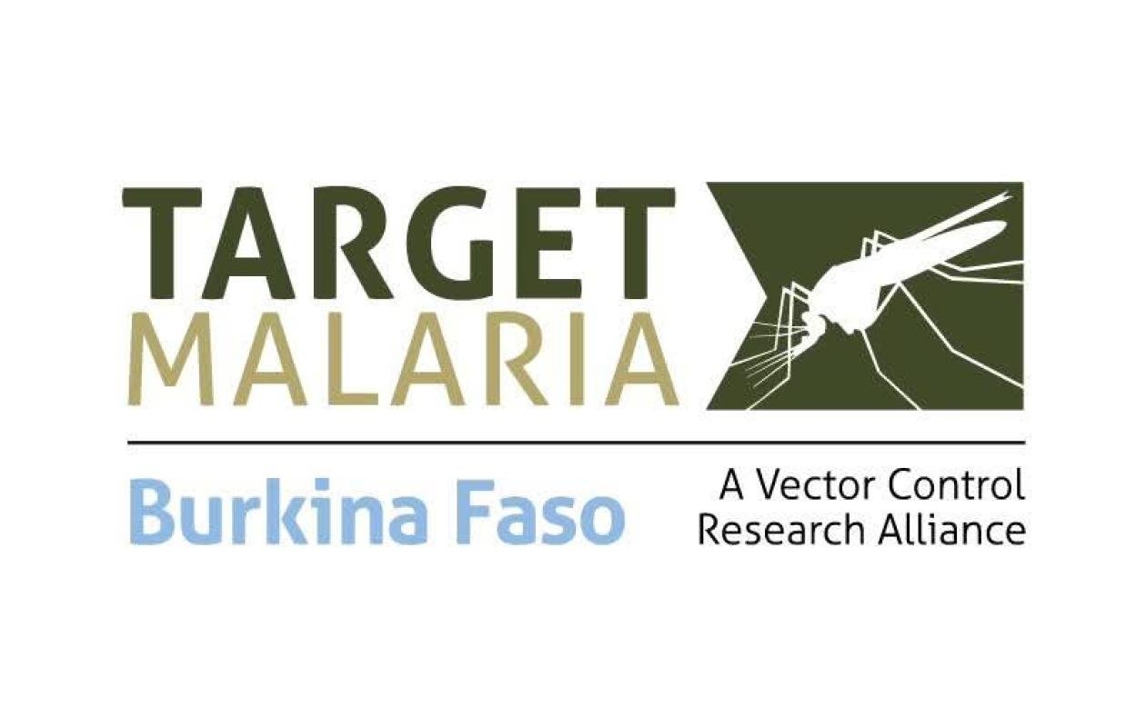 Burkina Faso : Les responsables du programme Target Malaria ont exprimé leur regret