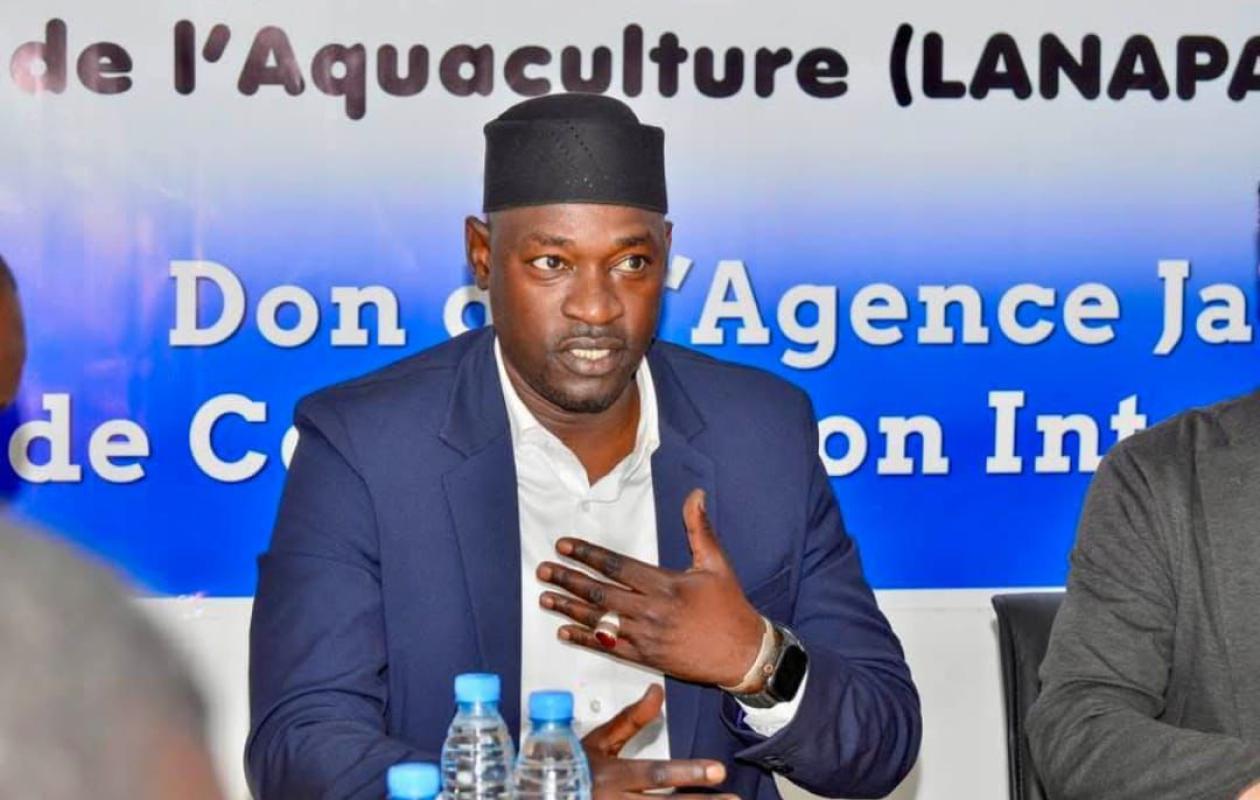 Consommation du Brown Croaker : le ministère des Pêches rassure sur l’absence de risque sanitaire