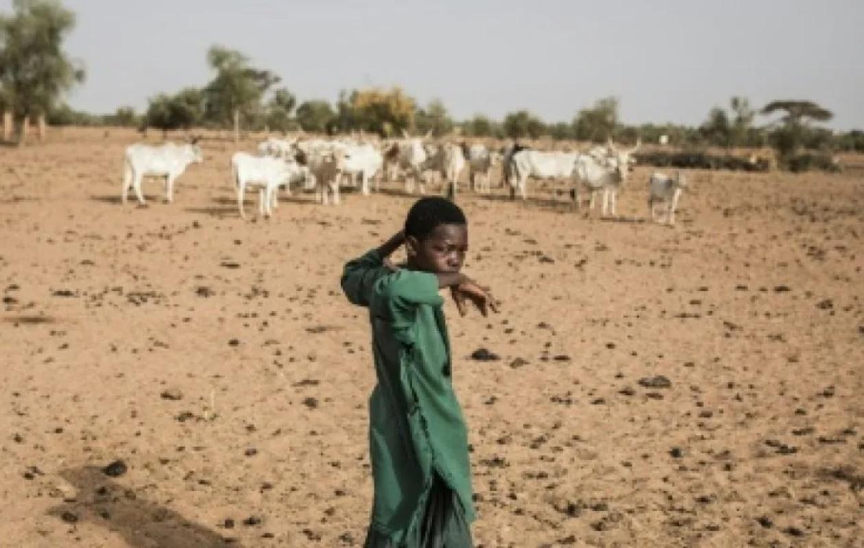 Pire Goureye : Une bourgade longtemps habitée par des bergers peuls
