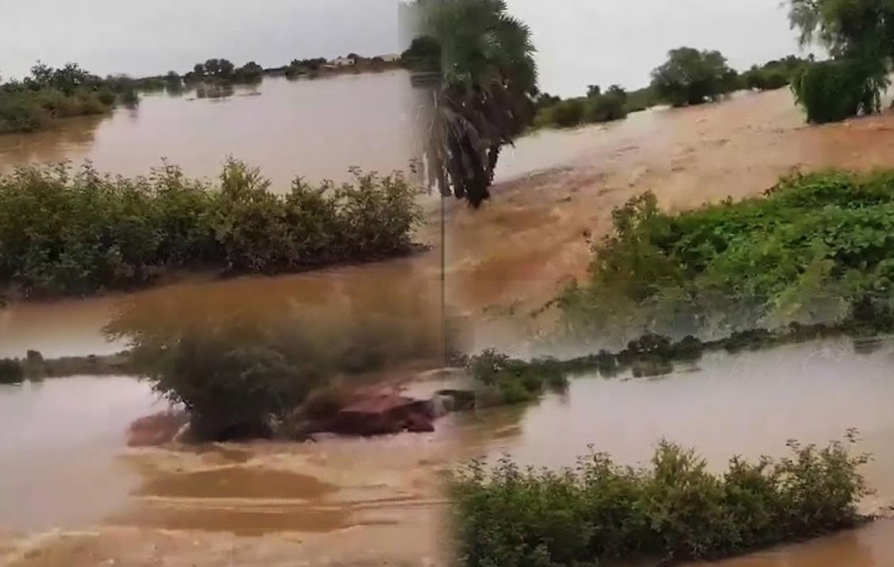 Campagne agricole 2025-2026 : inondations et attaques de chenilles préoccupent les producteurs à Kédougou