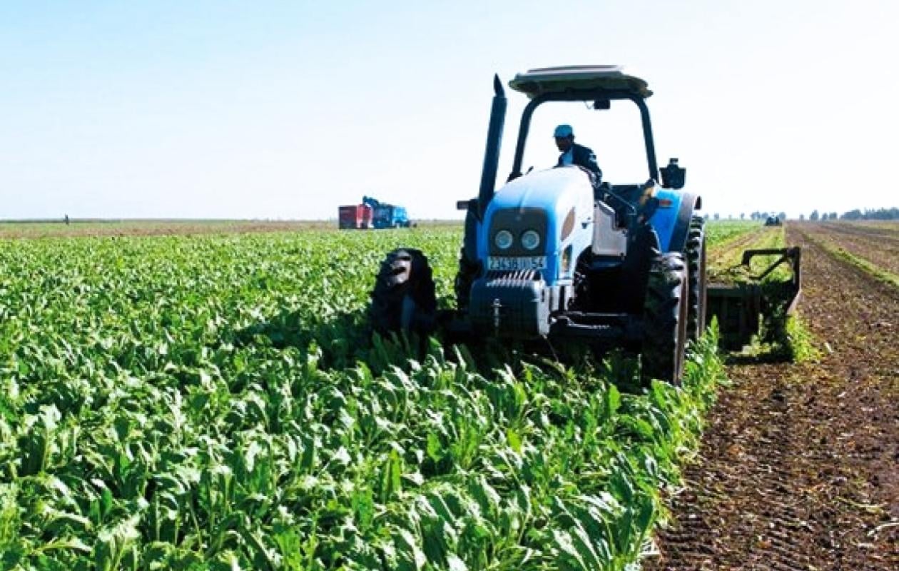 Agritech au Sénégal : Quand le numérique réinvente l’agriculture, mais ...