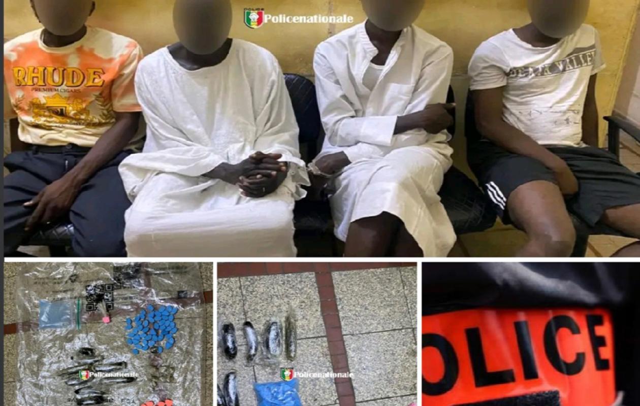 Trafic de drogue et Gamou : 4 dealers dont 2 Gambiens arrêtés par la BRS de Kaolack
