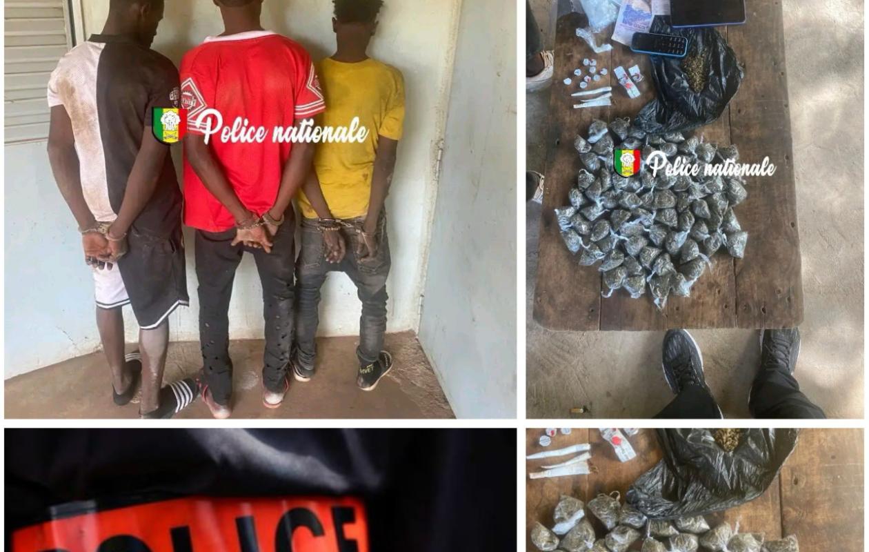 Kédougou: 3 Guinéens arrêtés par la BRS pour trafic de drogue