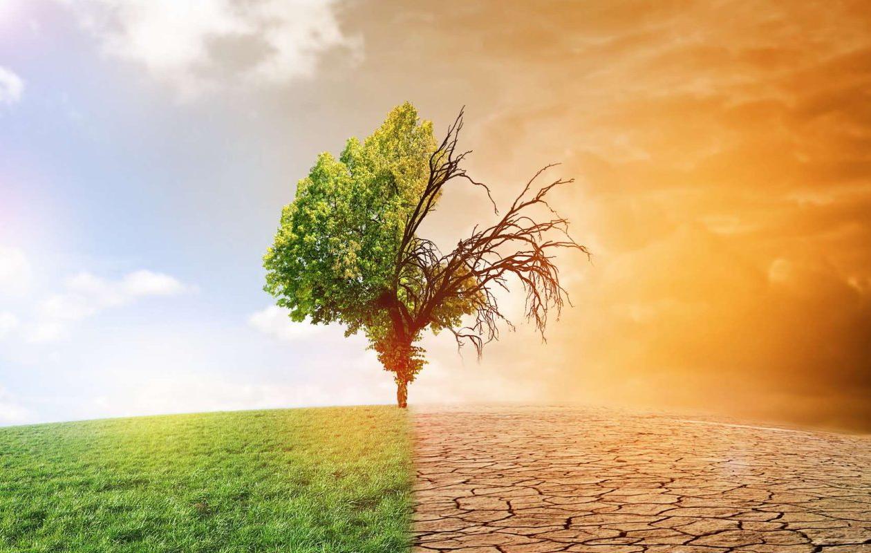 Addis-Abeba 2025 : l’Afrique se place au cœur de la lutte climatique
