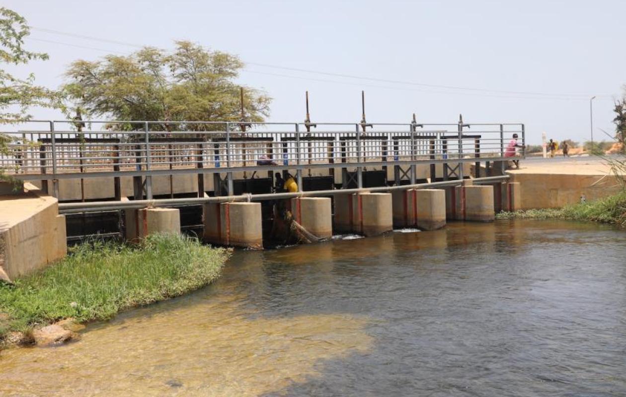 Bassin du fleuve Gambie : des variations contrastées des niveaux d’eau relevées dans plusieurs stations