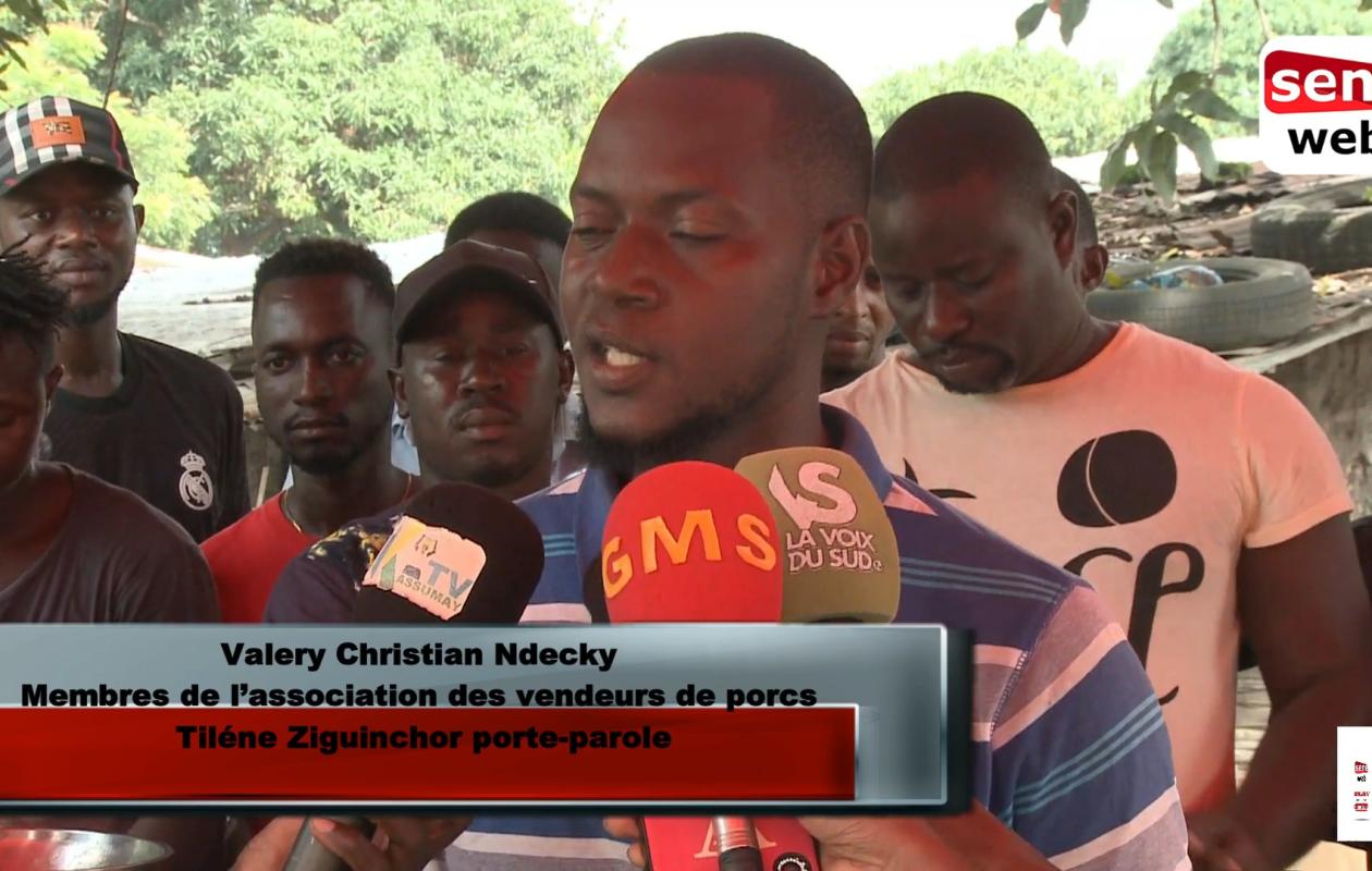 Ziguinchor :  Les vendeurs de porcs à Tilène menacent de boycotter leurs étales, après le maintien de leur président en prison.