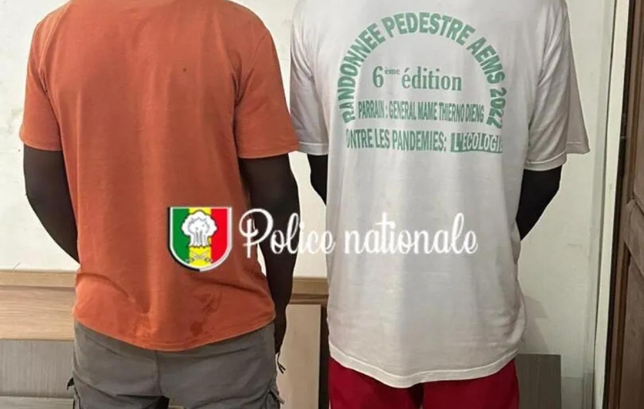 Trafic international de drogue : Deux individus arrêtés à Dakar, après la saisie de 180 kg de haschich au Maroc
