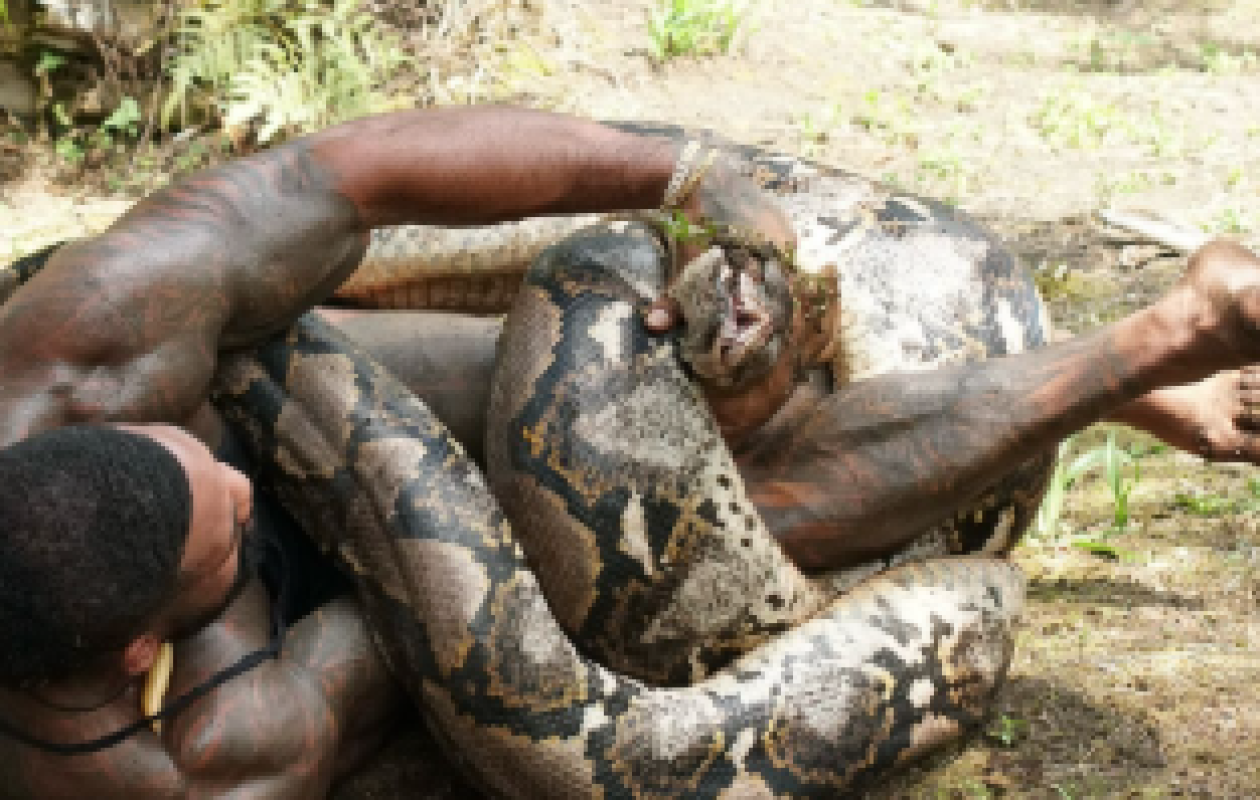 « The Real Tarzann », l’influenceur qui saute sur des crocos et se met l’Australie à dos