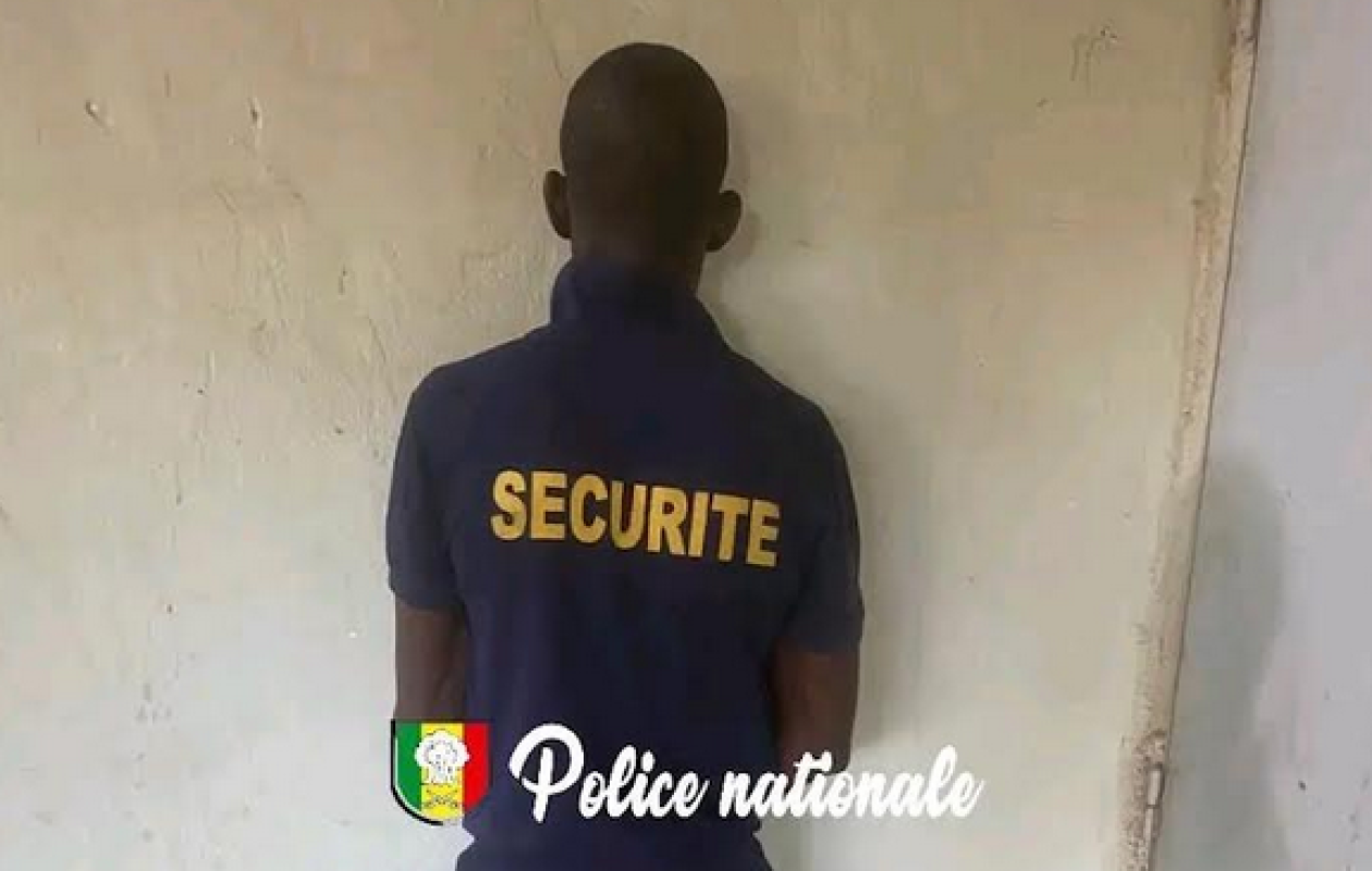 Trafic de drogue à Kédougou : Un ancien militaire arrêté par  l'OCRTIS
