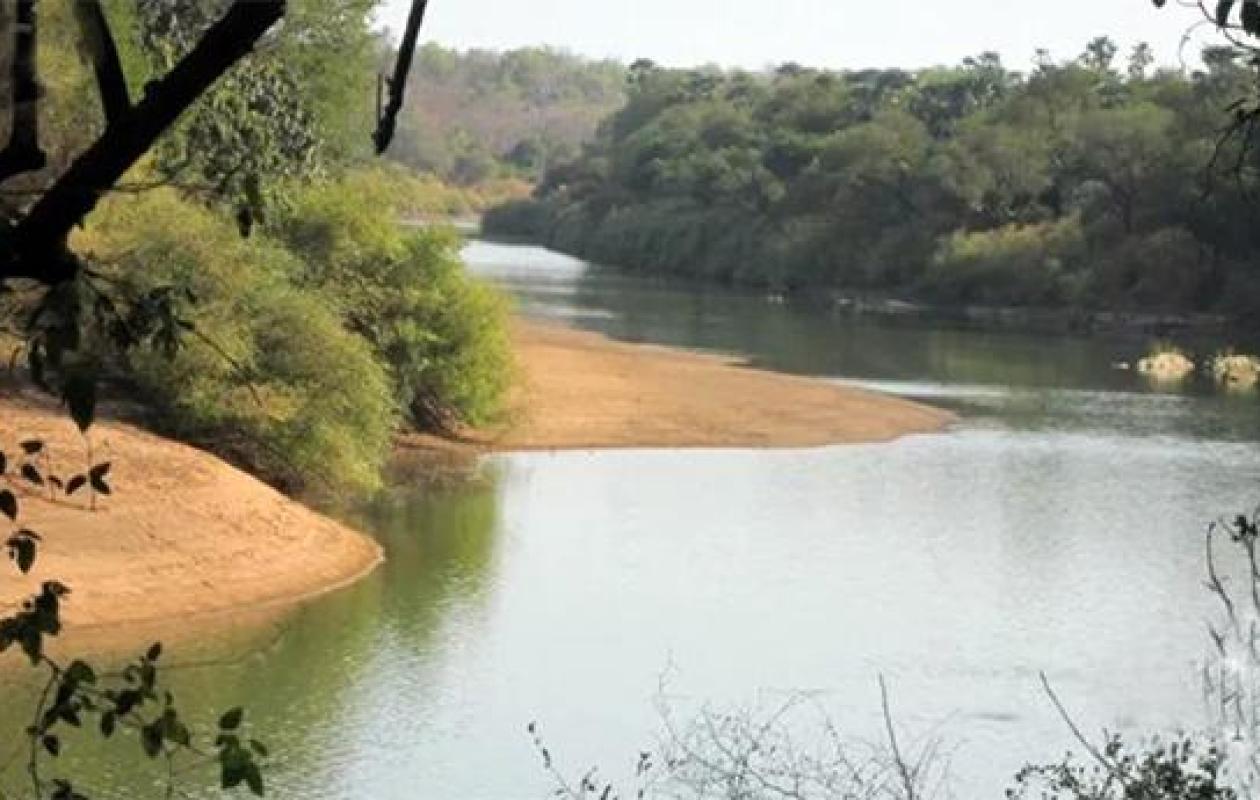 Bassin du fleuve Gambie : des niveaux d’eau contrastés selon les stations hydrométriques.