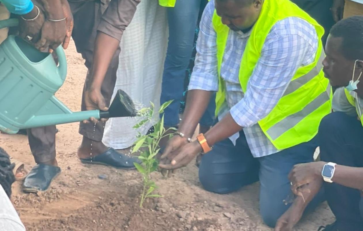 Vers l’autonomie en maïs : Le Sénégal peut y arriver en cinq ans, selon Mouhamadou Tidiane Diallo