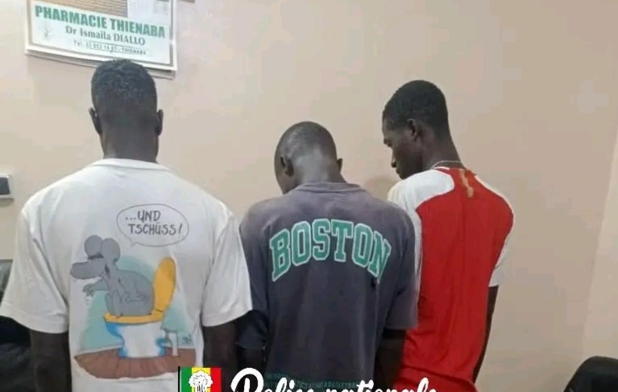 Fatick : Trois chauffeurs arrêtés par l'OCRTIS pour trafic d’ecstasy