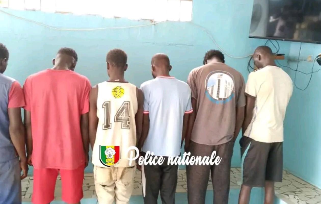 Kolda : 5 Maliens et 1 Sénégalais arrêtés par la police pour vol de bétail et abattage clandestin