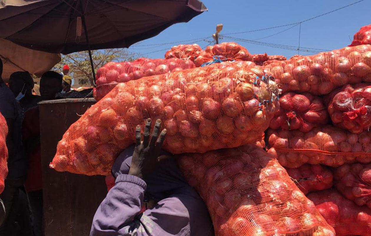Sénégal : Levée du gel des importations d’oignon à partir du 19 septembre 2025