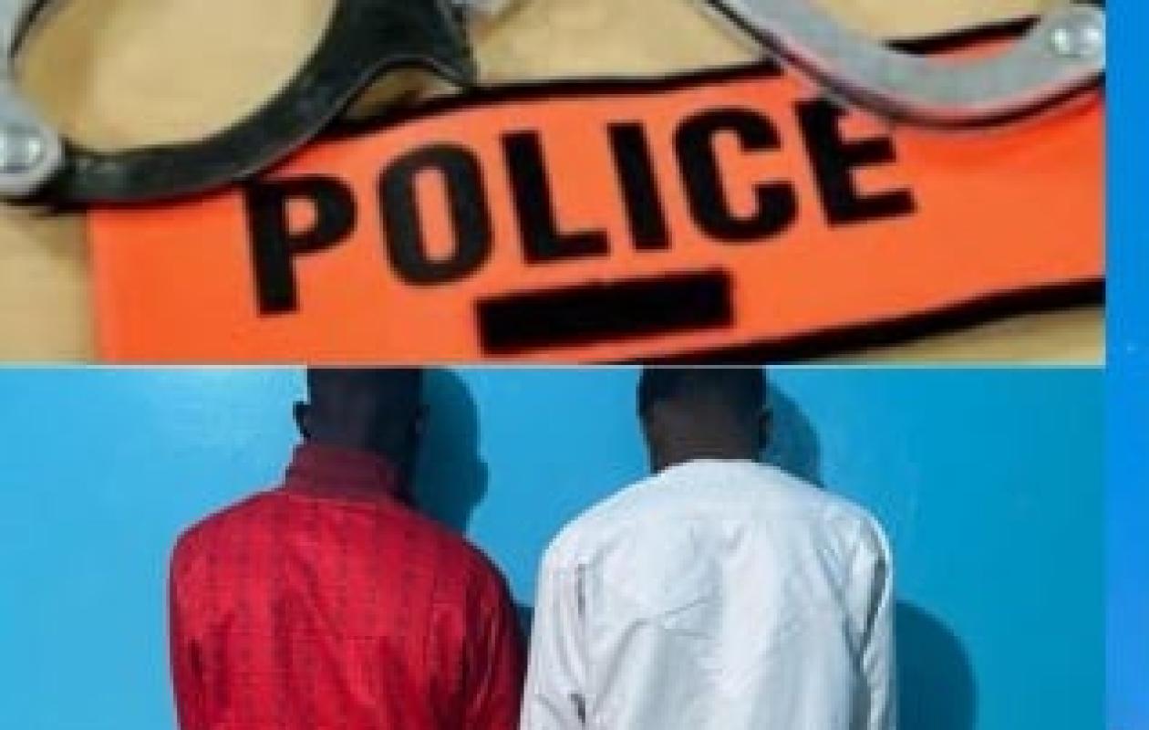 Touba : La police démantèle un réseau de voleurs de bétail, 14 moutons retrouvés