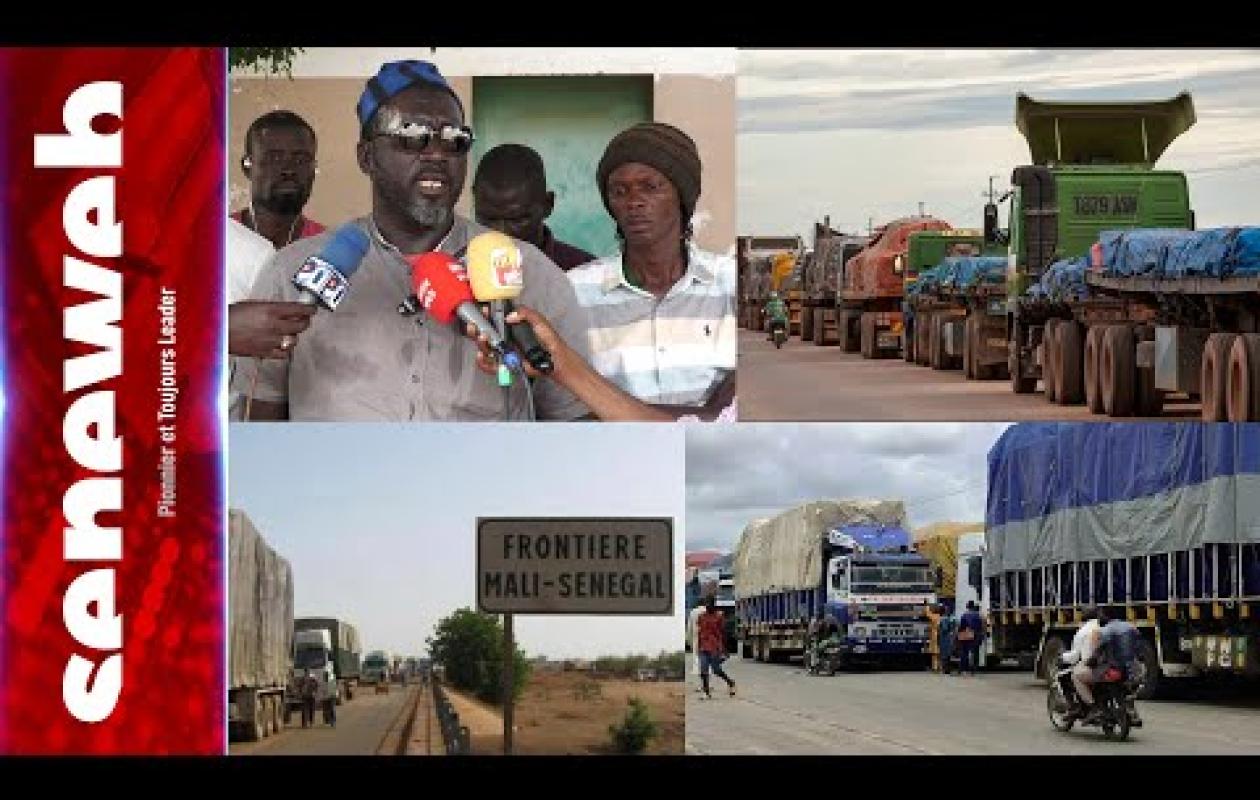 Tracasseries routières, erreurs sur le système de mutation des cartes grises numérisées : Le cri du cœur du Syndicat des acteurs du transport national et transnational