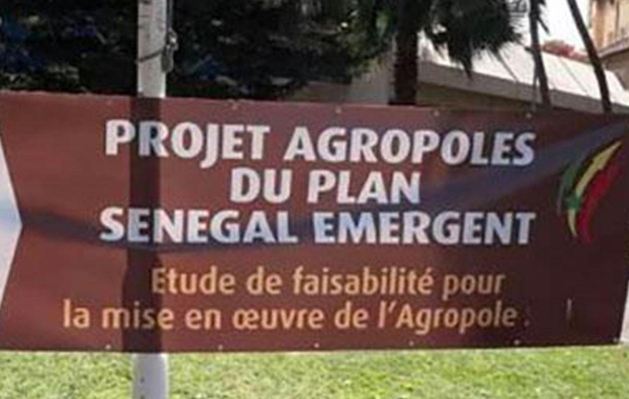 Scandale à l’agropole Nord : Première arrestation de la section de recherches