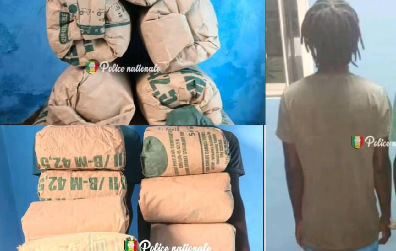 Trafic de drogue : Un Guinéen arrêté par la police de Rufisque avec 19 kg de "yamba"