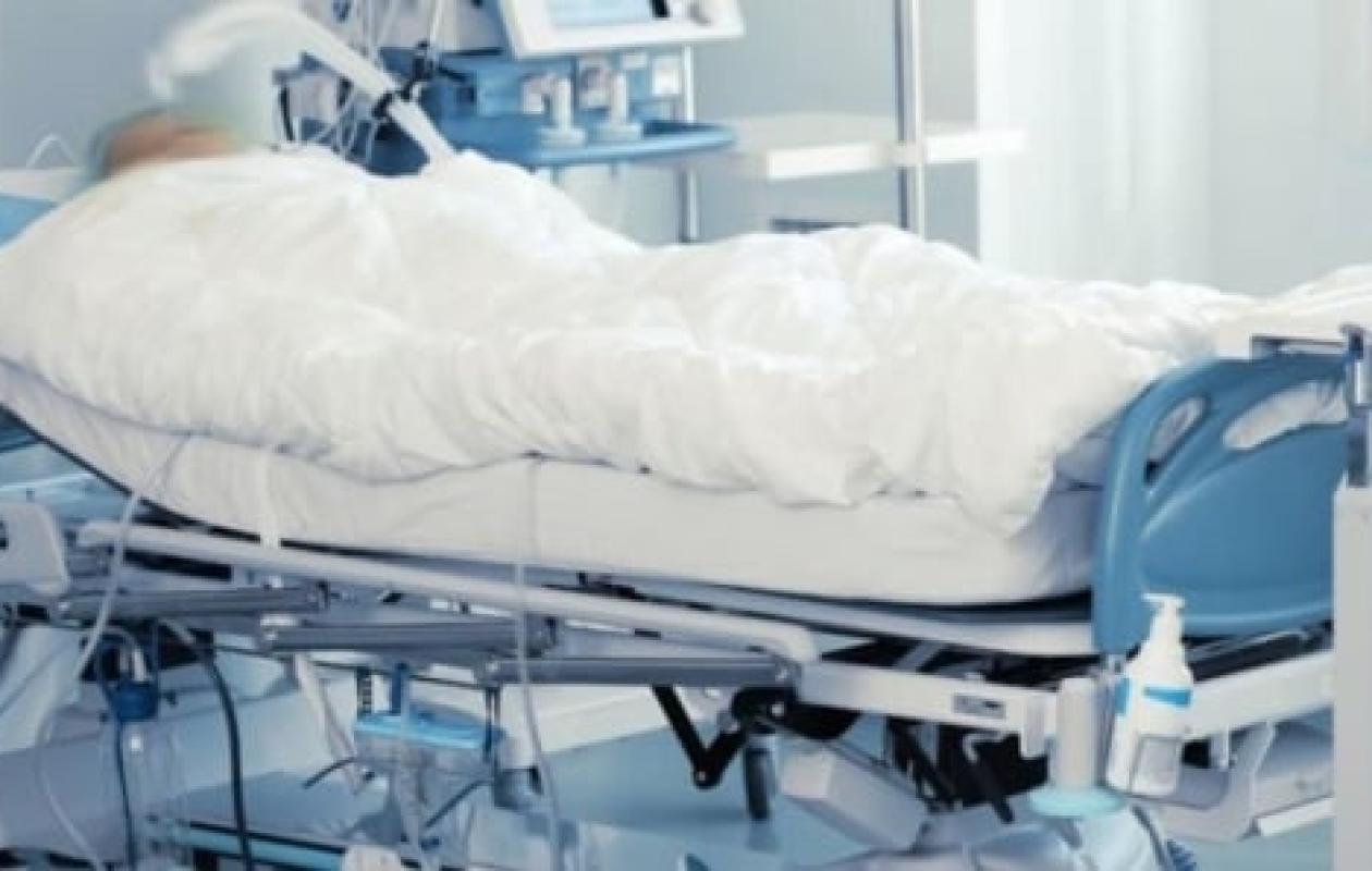 10 cas, 4 décès : Le ministère de la Santé fait le point sur la fièvre de la vallée du rift