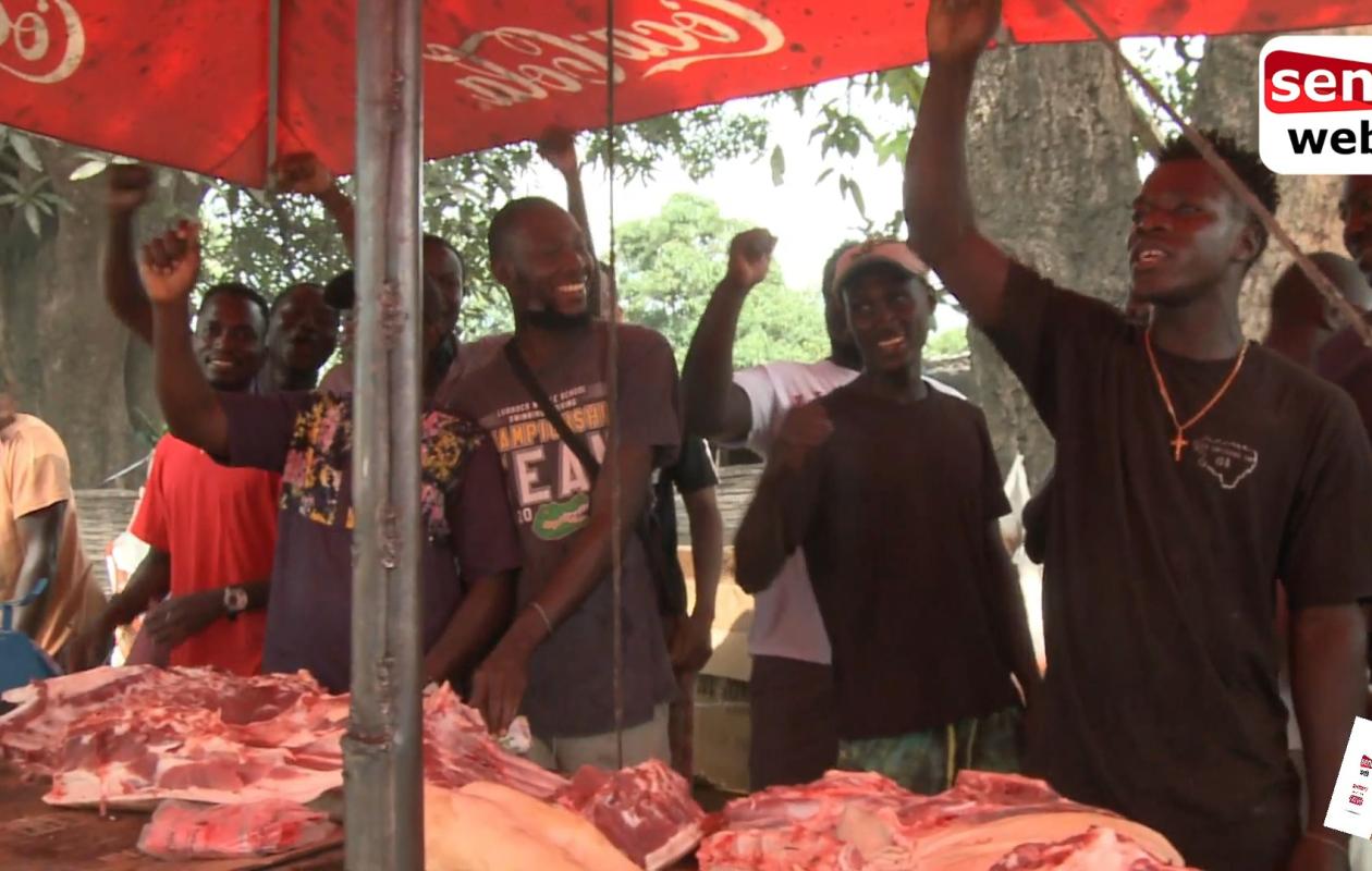 Ziguinchor affaire du présumé voleur de porcs : Les jeunes arrêtés recouvrent la liberté